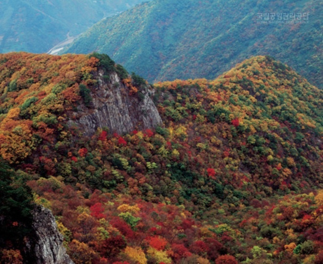 Mùa lá đỏ hàn quốc